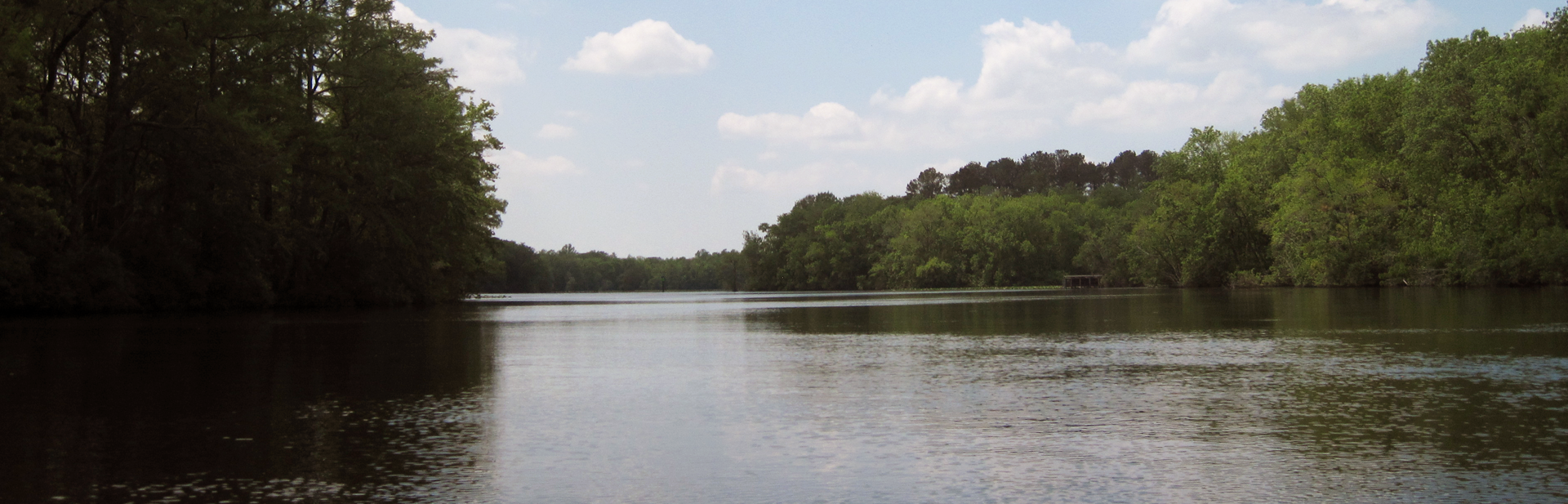 Pocomoke River from Rehobeth Boat Ramp
